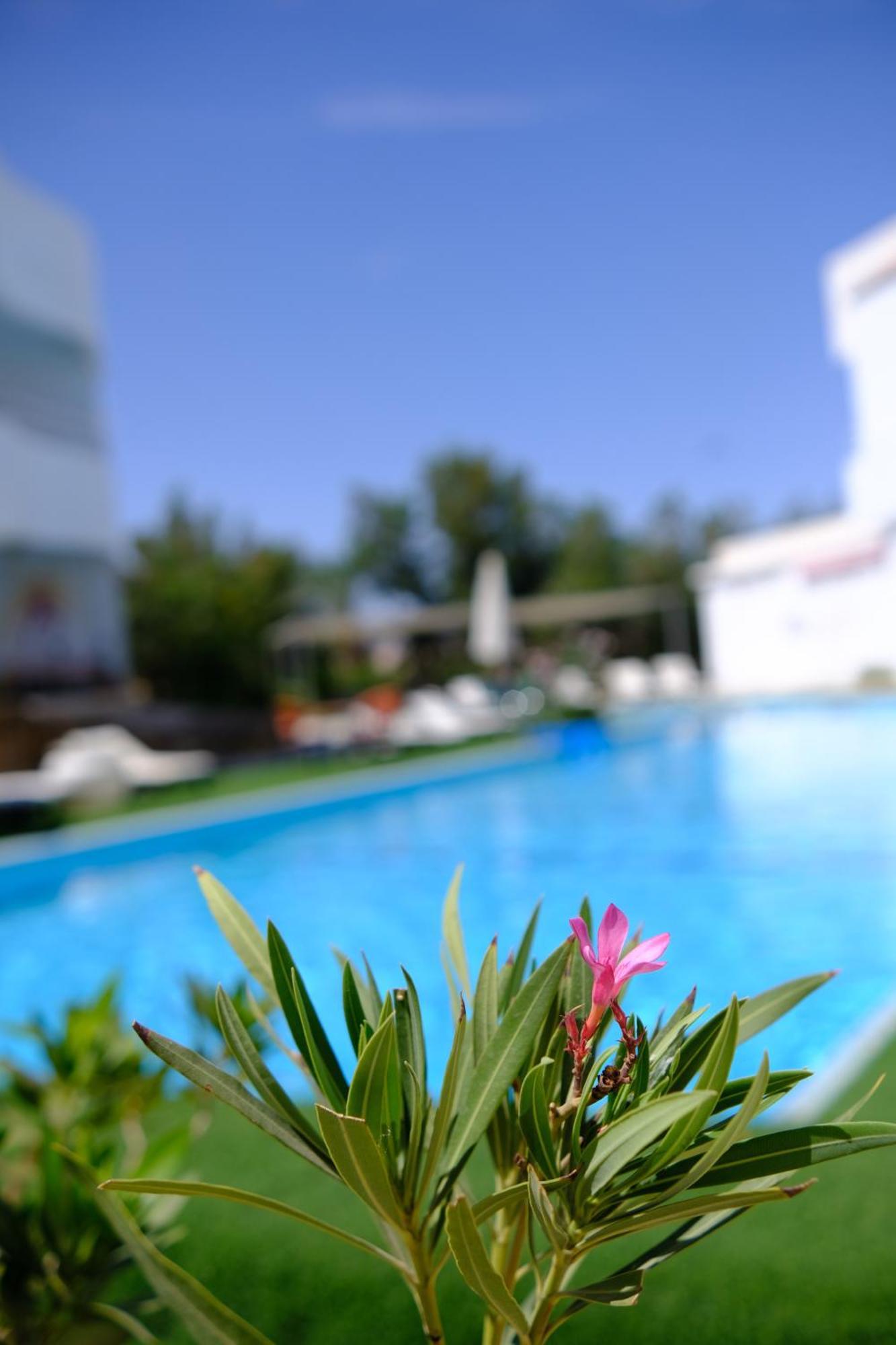Viking Club Hotel Sharm el-Sheikh Exterior foto